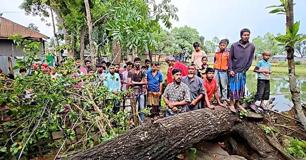কালবৈশাখী ঝড়ে লণ্ডভণ্ড ঠাকুরগাঁওয়ের বিভিন্ন এলাকা
