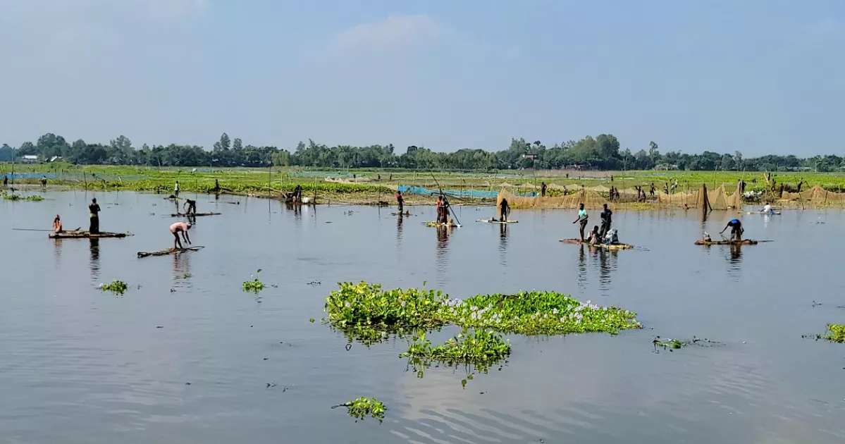 বুড়ির বাঁধে মাছ শিকার উৎসবে মানুষের ঢল