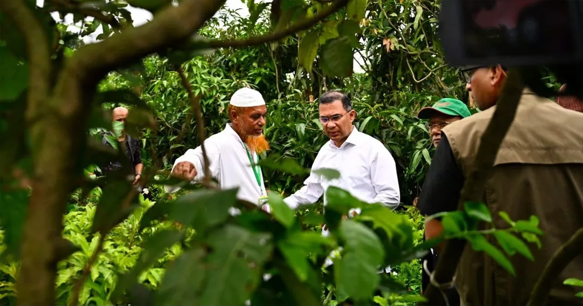 বৃক্ষমেলায় প্রধানমন্ত্রীর অন্যরকম একটি দিন