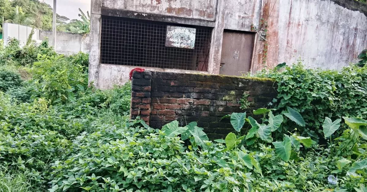 তিন দশকেও চাঁদপুর বিসিক শিল্পনগরীতে দৃশ্যমান উন্নয়ন নেই, বন্ধ অনেক কারখানা