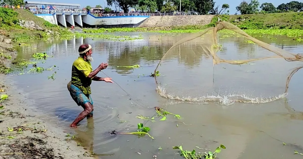 বুড়ির বাঁধে মাছ শিকার উৎসবে মানুষের ঢল