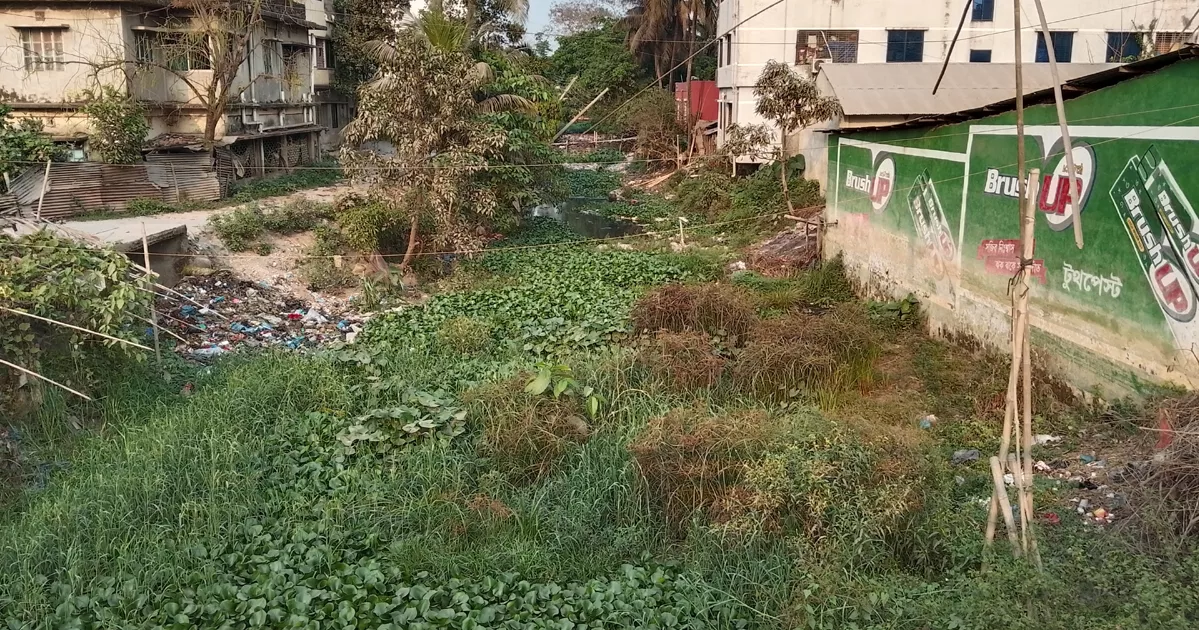 অবৈধ দখল-দূষণের কবলে ফেনীর ২৪৪ নদী ও খাল