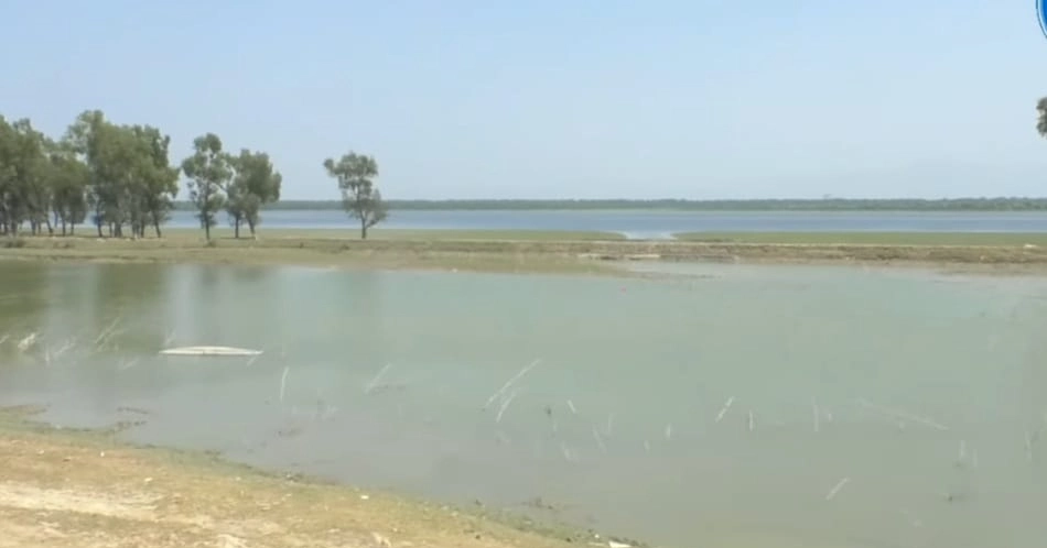 আটবছর ধরে নাফ নদীতে মাছ ধরা বন্ধ, জেলেপল্লির চুলায় জ্বলছে না আগুন