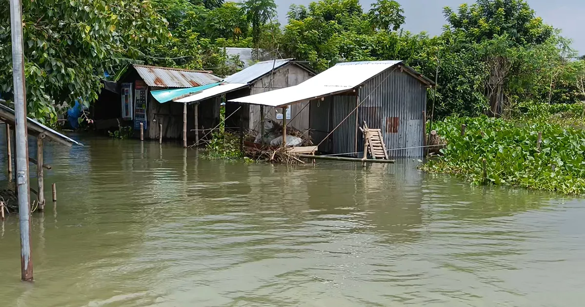 চাঁপাইনবাবগঞ্জে পদ্মার পানি কমলেও বন্যা পরিস্থিতির উন্নতি নেই