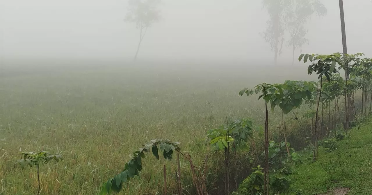 রংপুরে জেঁকে বসেছে শীত, হাসপাতালে বাড়ছে রোগী, ৬ শিশুর মৃত্যু