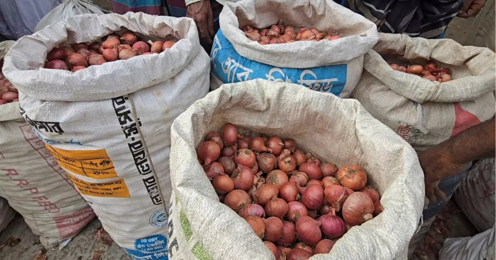দাম কমে যাওয়ায় ফরিদপুরের পেঁয়াজ চাষিরা বিপাকে