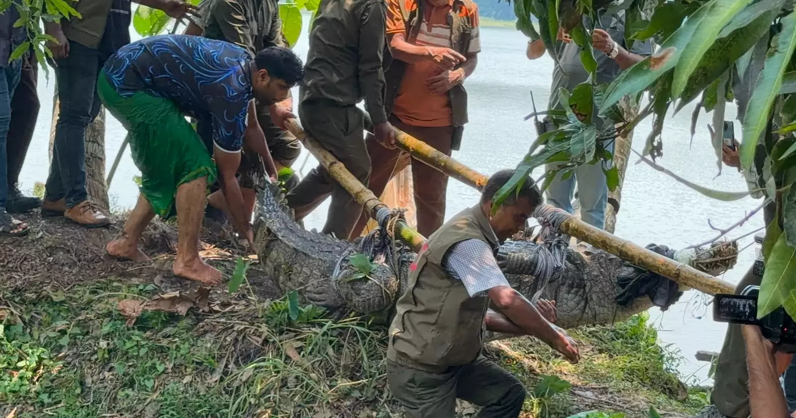 খানজাহান আলীর মাজারের কুমিরটি সরিয়ে নেওয়া হয়েছে