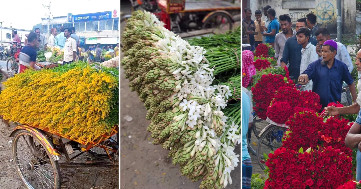 চার দিবস সামনে রেখে সেজে উঠেছে ‘ফুলের রাজধানী’ গদখালি