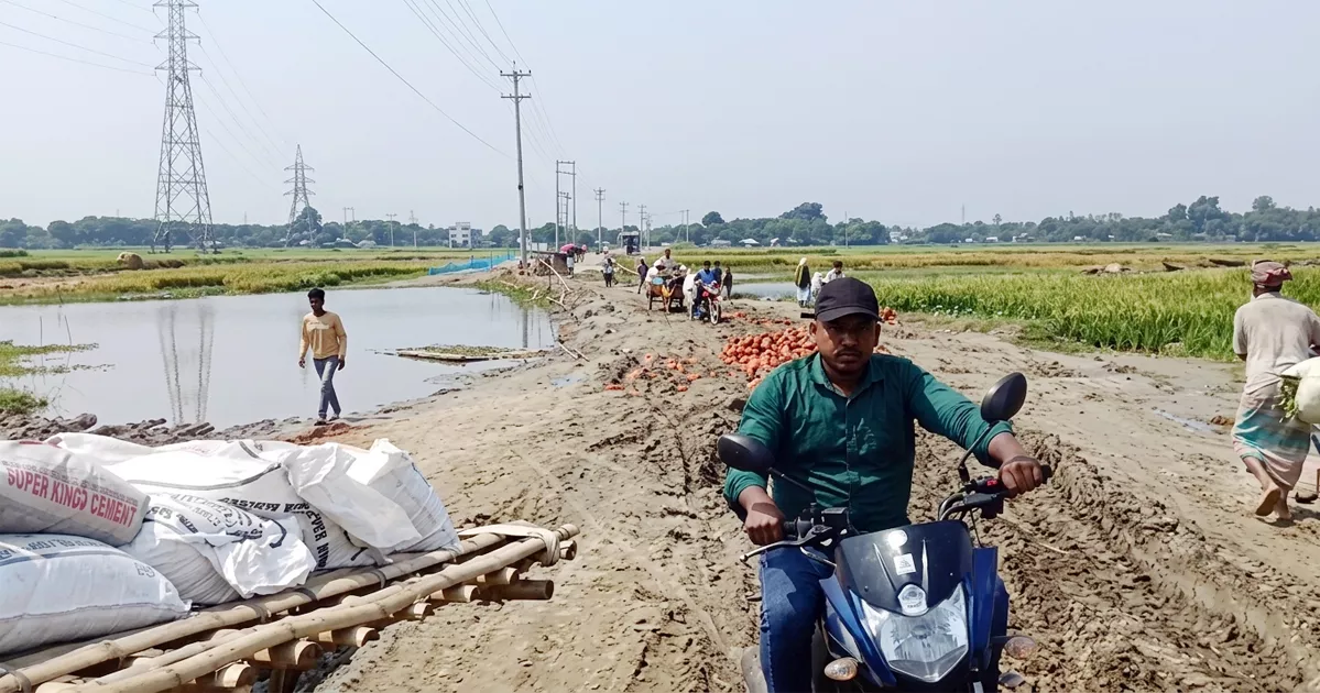 দুটি সেতুর অভাবে বিচ্ছিন্ন পদ্মার চরাঞ্চলের প্রায় এক লাখ মানুষ