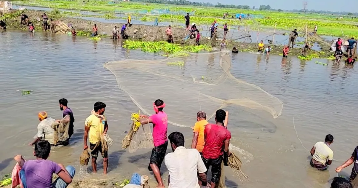 বুড়ির বাঁধে মাছ শিকার উৎসবে মানুষের ঢল