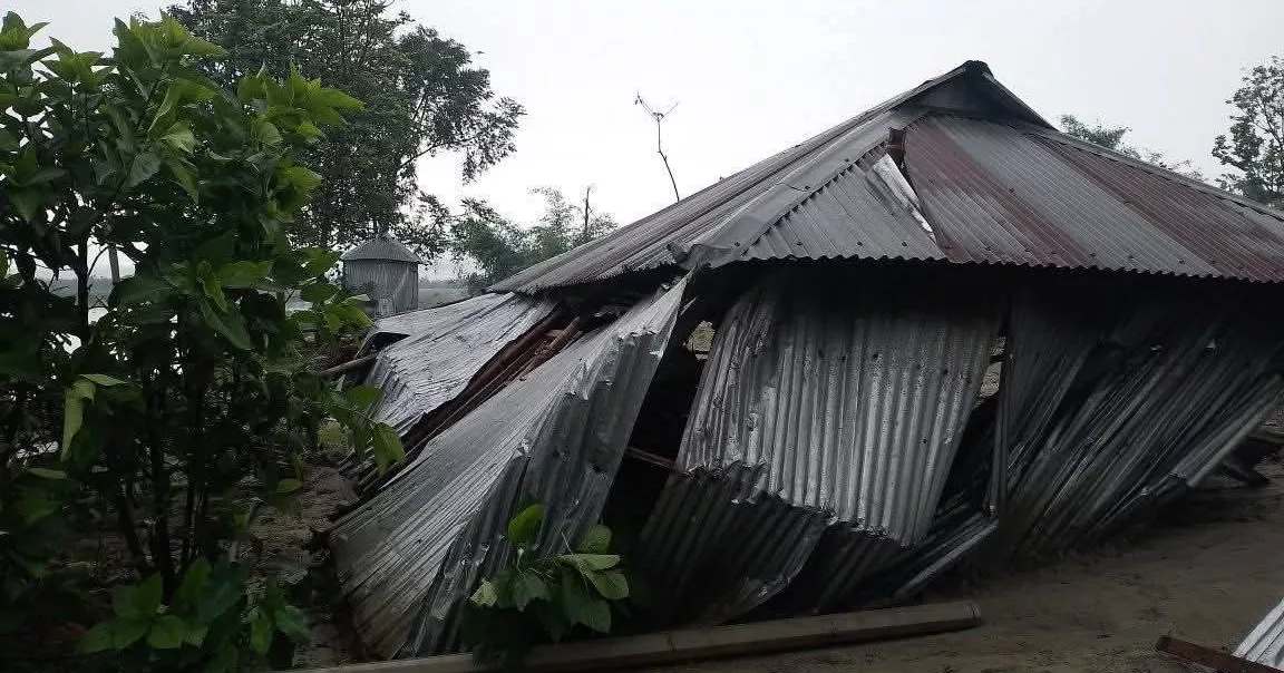 কুড়িগ্রামে কালবৈশাখীর তাণ্ডবে গাছপালা ও ঘরবাড়ি ক্ষতিগ্রস্ত, বোরো ধানে ব্যাপক ক্ষতি
