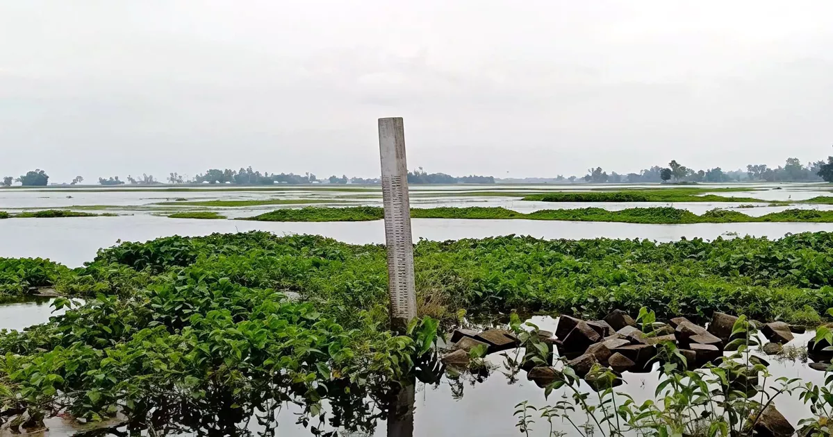 তিস্তার পানি বিপৎসীমা ছুঁই ছুঁই, নিম্নাঞ্চল প্লাবিত হয়ে ৬ সহস্রাধিক পরিবার পানিবন্দি