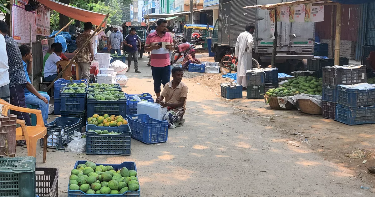 ঈদের পর চাঙা হচ্ছে চাঁপাইনবাবগঞ্জের আম বাজার