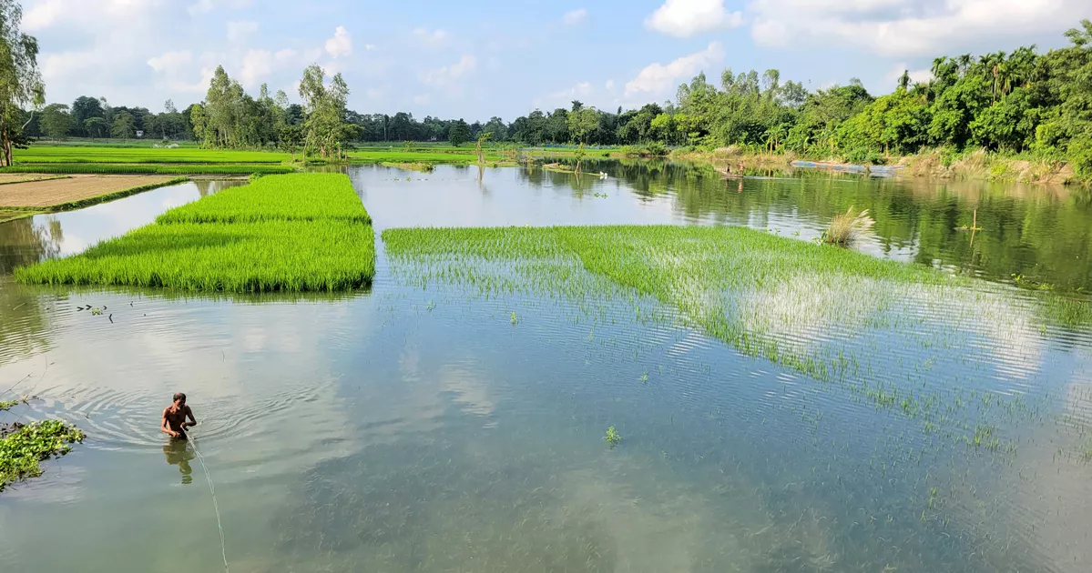 লালমনিরহাট, কুড়িগ্রামে বন্যা পরিস্থিতির অবনতি, পানিবন্দি লাখো মানুষ