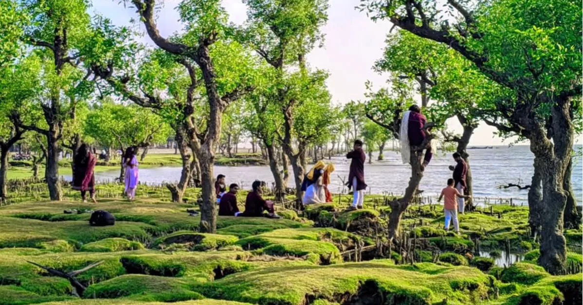 নিদ্রা সৈকত: অপার সম্ভাবনার এক নিসর্গ ভূমি