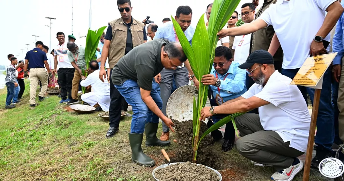 যার যার অবস্থান থেকে আশপাশের পরিবেশ রক্ষার আহ্বান প্রধানমন্ত্রীর