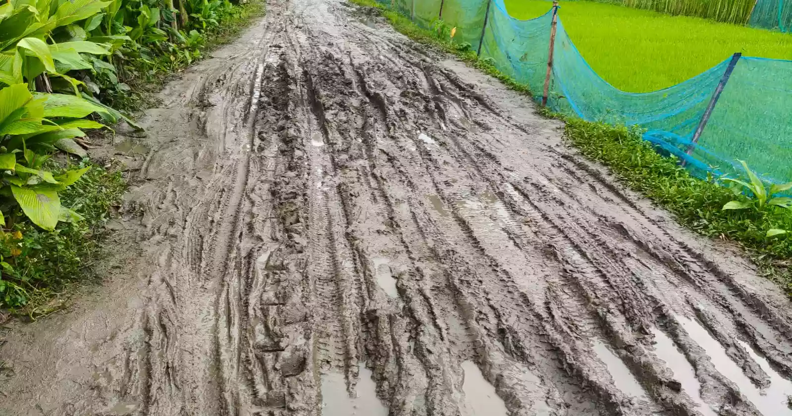 স্বাধীনতার ৫৫ বছরেও পাকা হয়নি রাস্তা, ভোগান্তিতে কয়েক গ্রামের মানুষ
