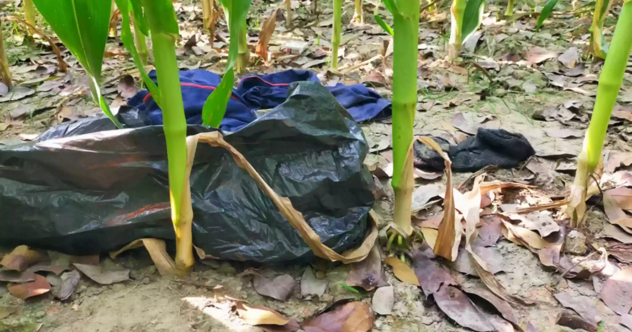 জিয়ারত করতে গিয়ে দেখলেন মা-ভাতিজার কবর ফাঁকা, দেহাবশেষ উধাও