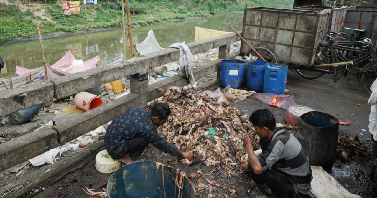 একসময়ের প্রমত্তা নড়াই নদী এখন শুধুই ময়লার ভাগাড়