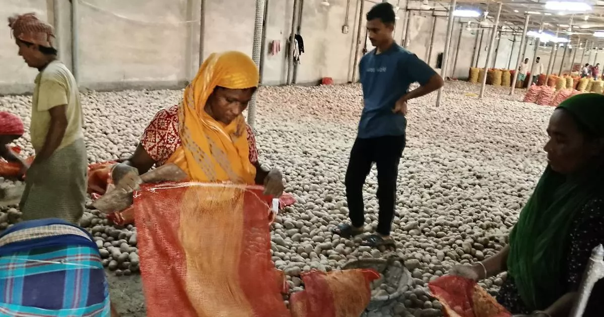 তিন দশকেও চাঁদপুর বিসিক শিল্পনগরীতে দৃশ্যমান উন্নয়ন নেই, বন্ধ অনেক কারখানা