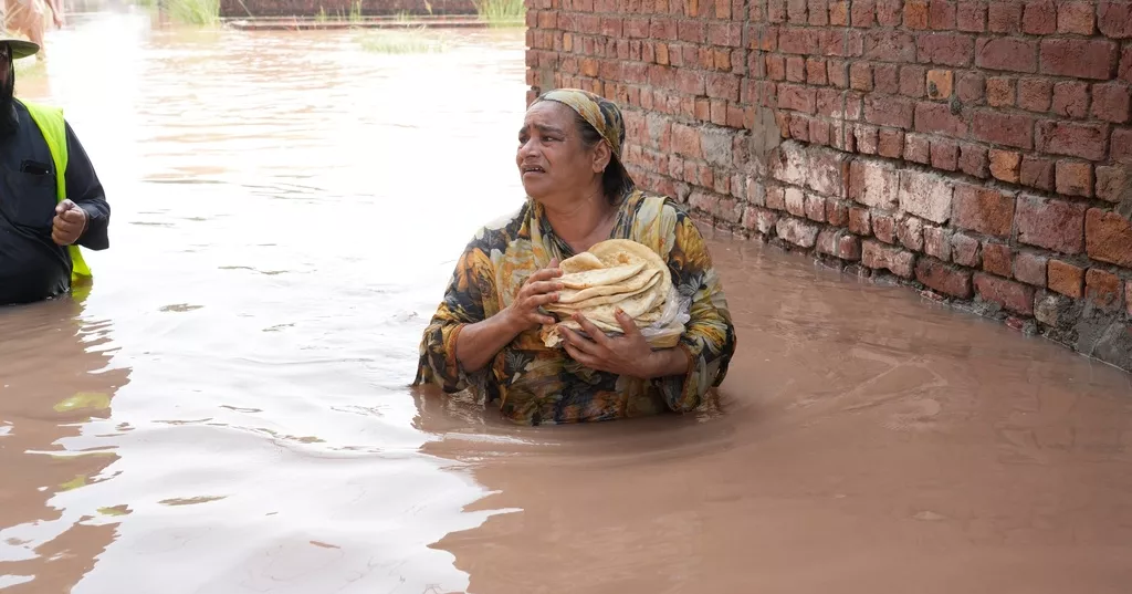 মৌসুমি বৃষ্টি ও বন্যায় পাকিস্তানে এক মাসে ১০৯ প্রাণহানি