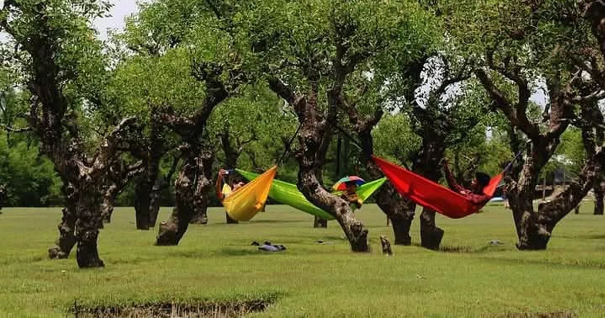 নিদ্রা সৈকত: অপার সম্ভাবনার এক নিসর্গ ভূমি