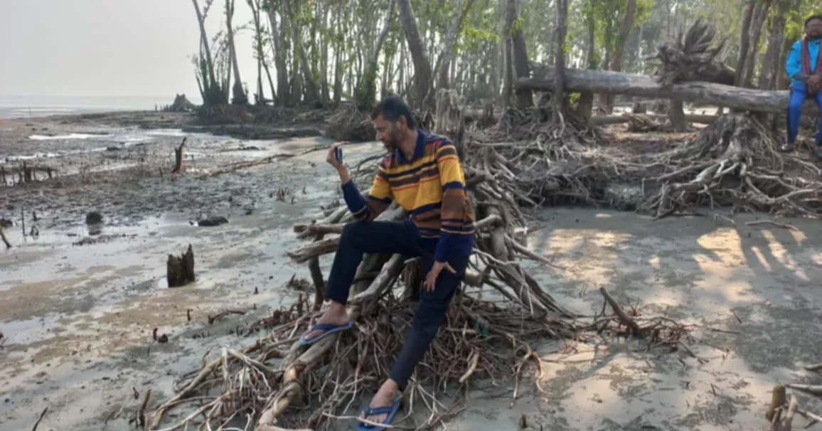 সুন্দরবনে নদী ভাঙনে কমছে বনভূমি, পদক্ষেপের ঘাটতি