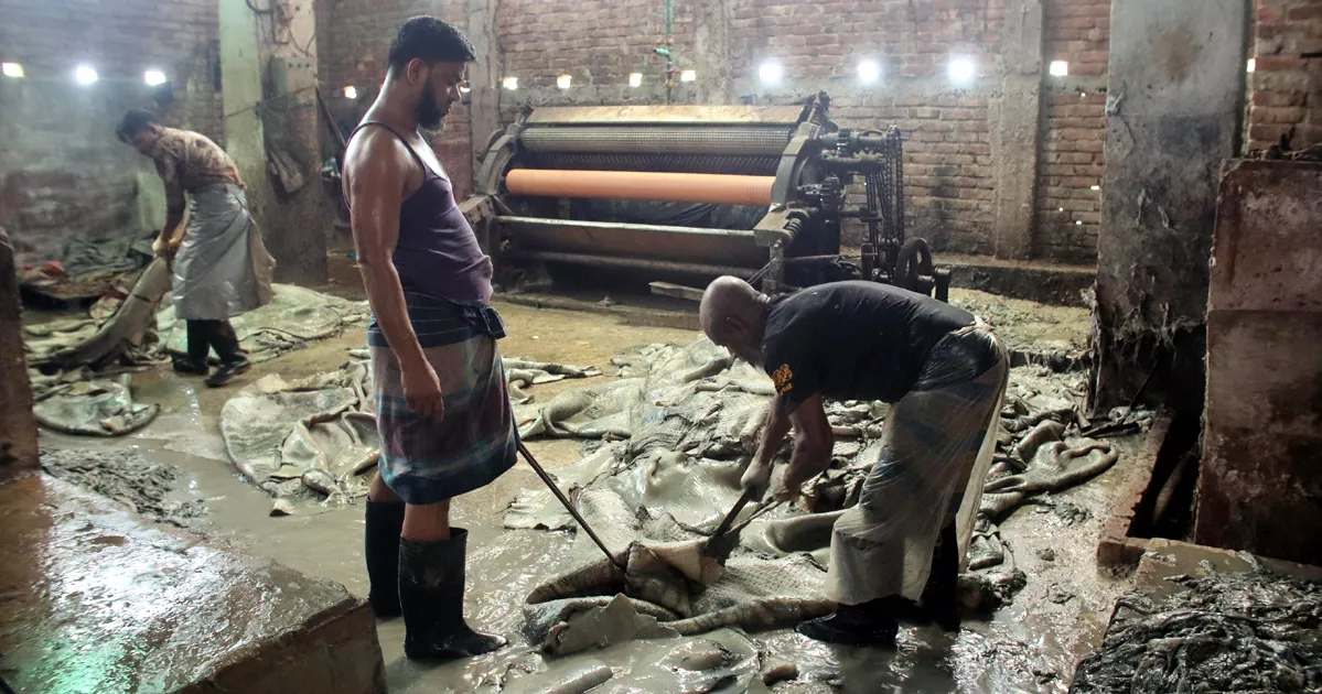 চামড়ার বাজারে এবারও হতাশা, গোড়ায় গলদ রেখে দাম নির্ধারণ