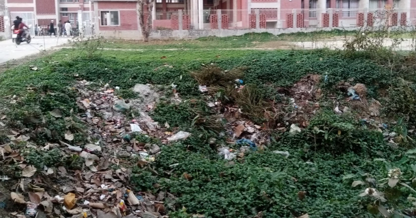 জাবিতে মশার উপদ্রবে অতিষ্ঠ শিক্ষার্থীরা, বেড়েছে ডেঙ্গু আক্রান্তের ঝুঁকি: কী ভাবছে প্রশাসন?