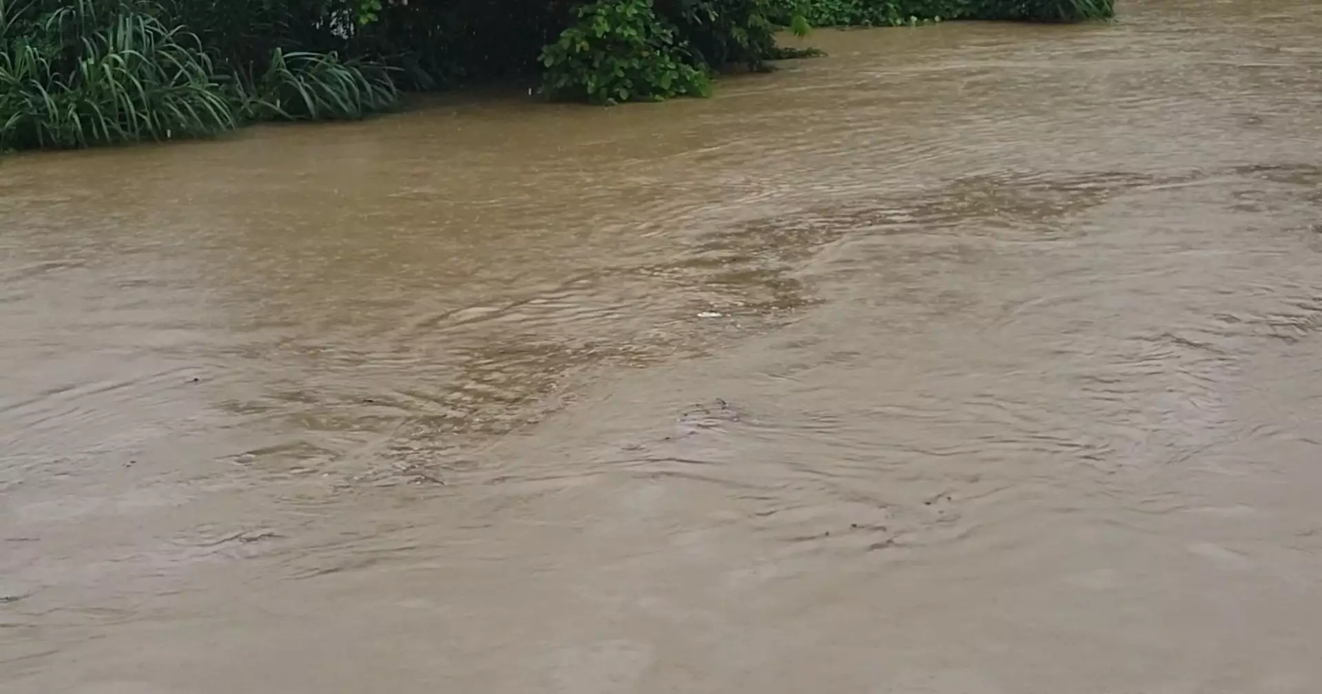 পাহাড়ি ঢলে কাঁপছে ফেনীর তিন নদী, নির্ঘুম রাতে লাখো মানুষের চোখ বেড়িবাঁধে