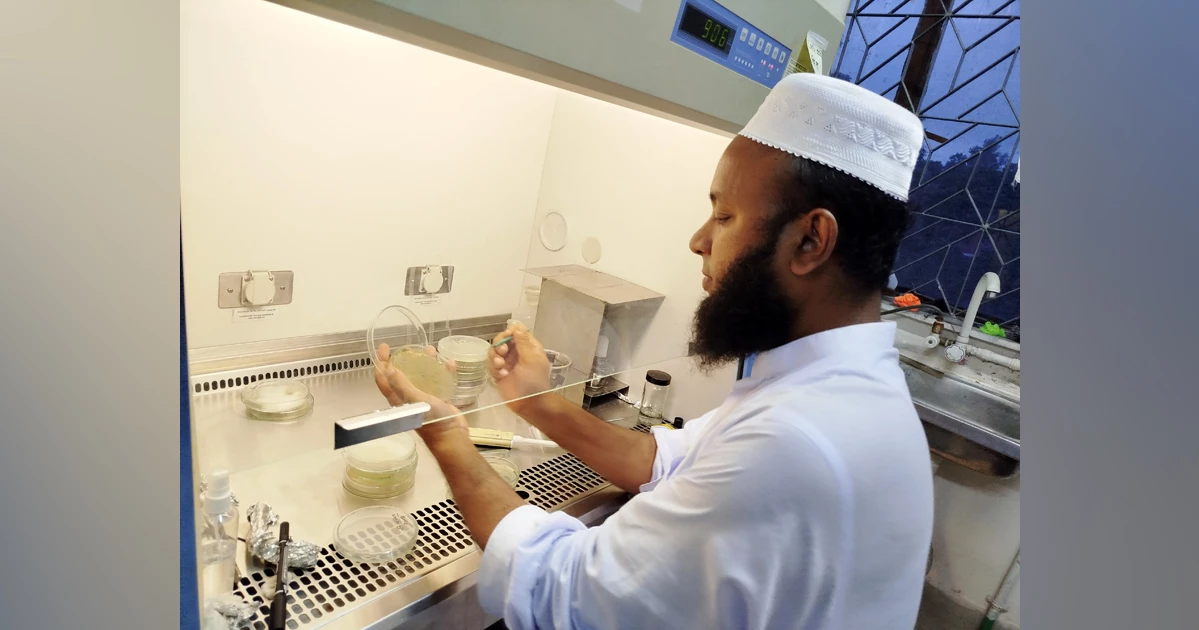 দেশীয় প্রযুক্তিতে পরিবেশবান্ধব ছত্রাকনাশক উদ্ভাবনের দাবি বাকৃবি গবেষকদের