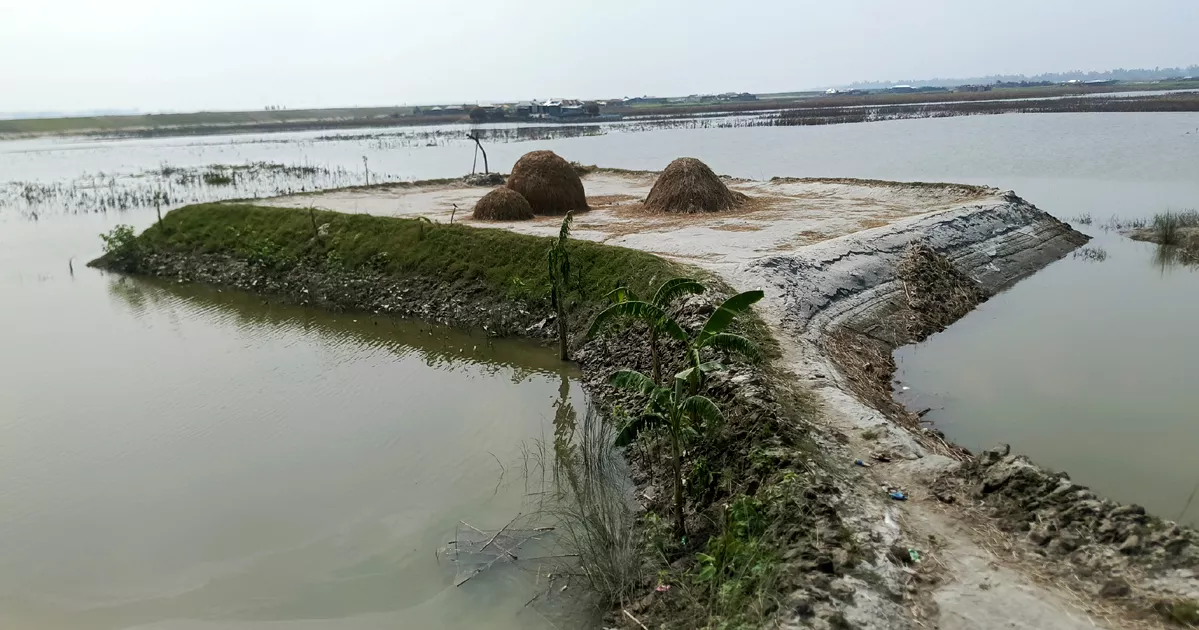 কুড়িগ্রামের বন্যাকবলিত চরাঞ্চলে জনপ্রিয় হয়ে উঠছে ‘গুচ্ছ বসতভিটা’