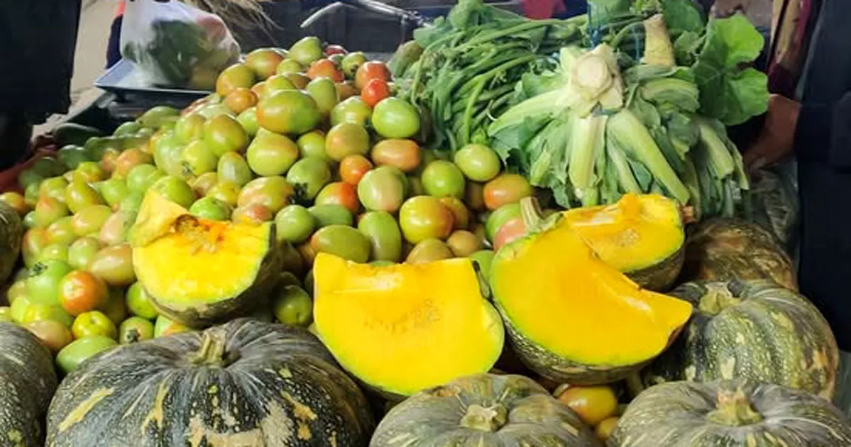 চাঁদপুরে অর্ধেকে নেমে গেছে সবজির দাম, দুশ্চিন্তায় কৃষক