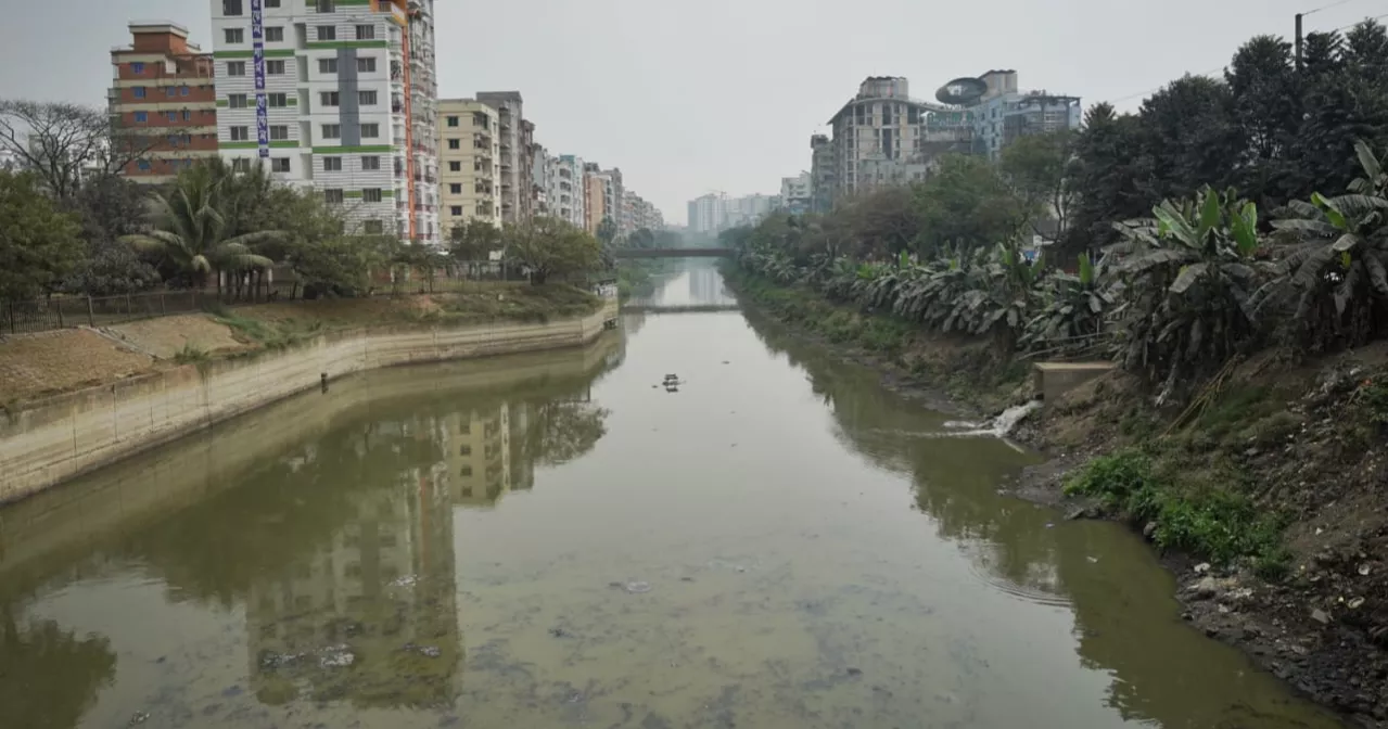 একসময়ের প্রমত্তা নড়াই নদী এখন শুধুই ময়লার ভাগাড়