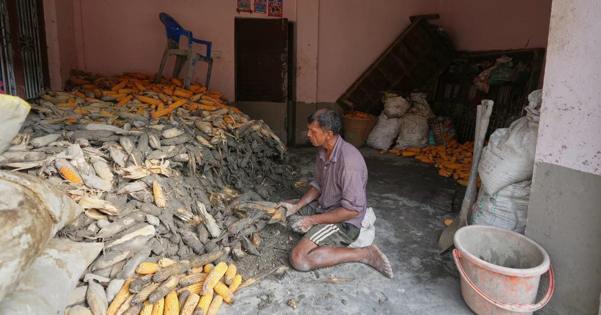 নেপালে নতুন করে বন্যার আশঙ্কা, নিহত ৮০০ ছাড়িয়েছে