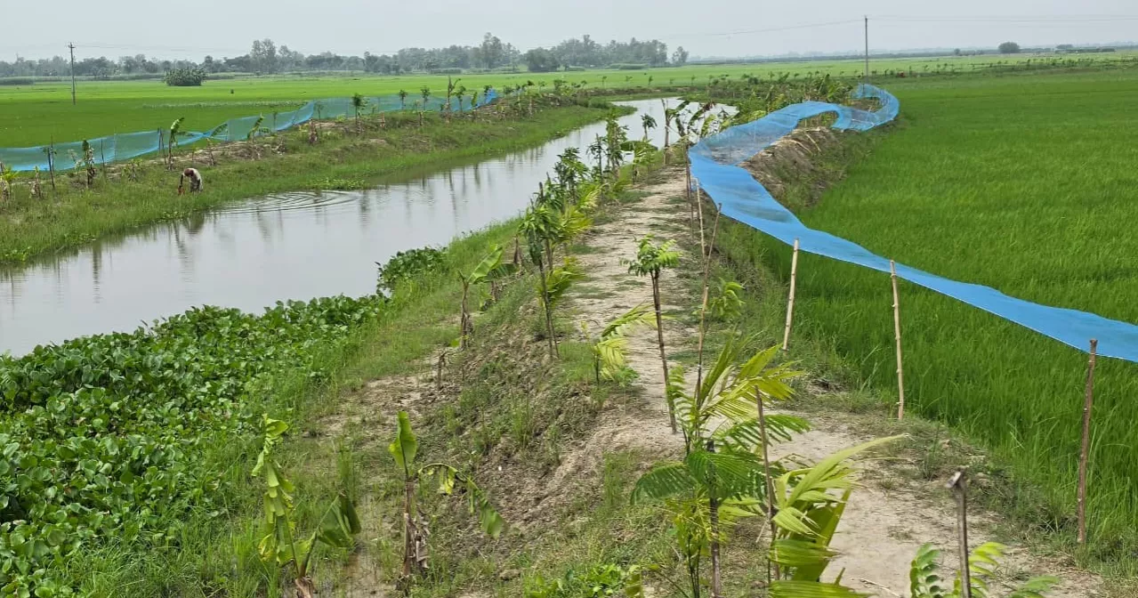 মান্দায় খাল পুনঃখনন প্রকল্পের শ্রমিক মজুরির ৫০ লাখ টাকা নিয়ে প্রশ্ন