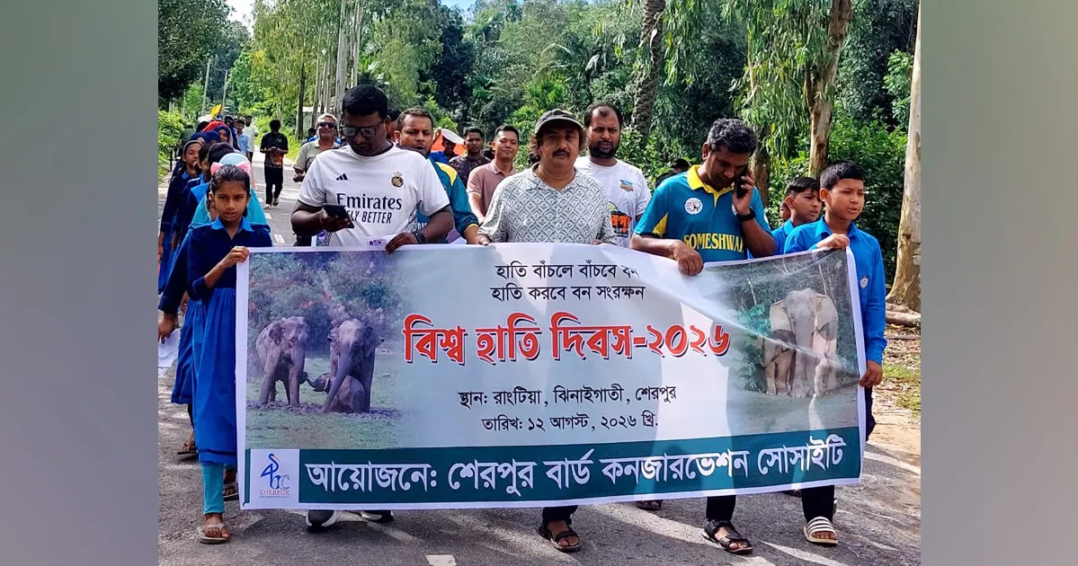 গারো পাহাড়ে বাড়ছে হাতির সংখ্যা, বাড়ছে মানুষ-হাতি দ্বন্দ্বও