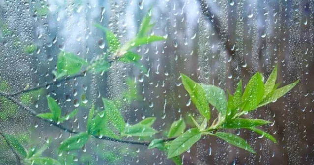 Spring rain likely in parts of Bangladesh