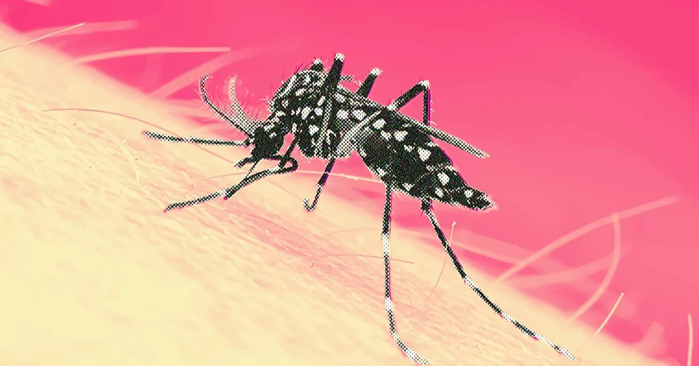 Dengue: 26 more cases reported in 24hrs