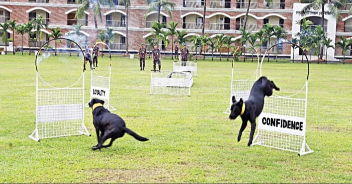 BGB’s K-9 Hero ‘Meghla’ foils liquor smuggling attempt in Teknaf