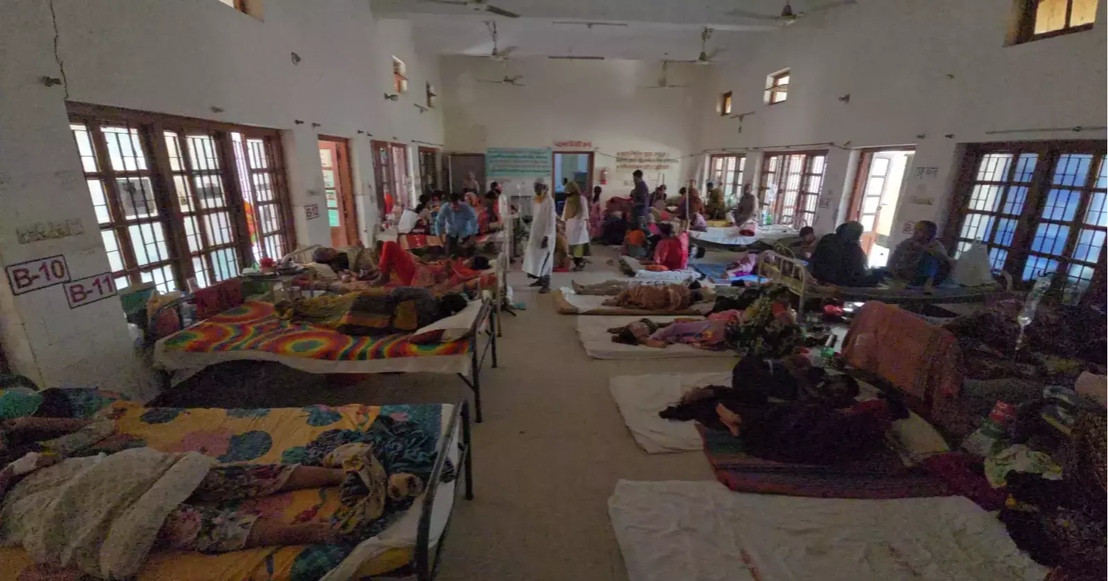 Dengue claims 8 more lives, 1,782 hospitalised in 24 hrs