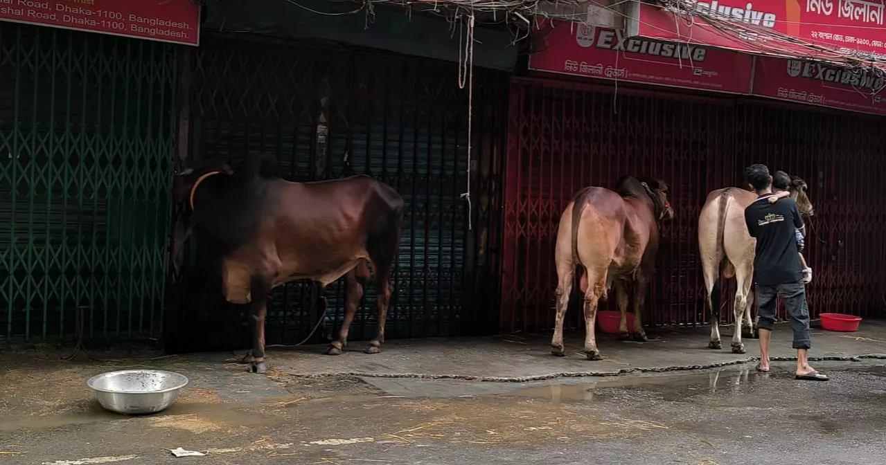 Shortage of butchers delays sacrificial slaughter on Eid Day in Dhaka