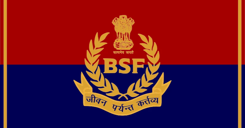 BSF detains youth in Lalmonirhat found cutting grass near border