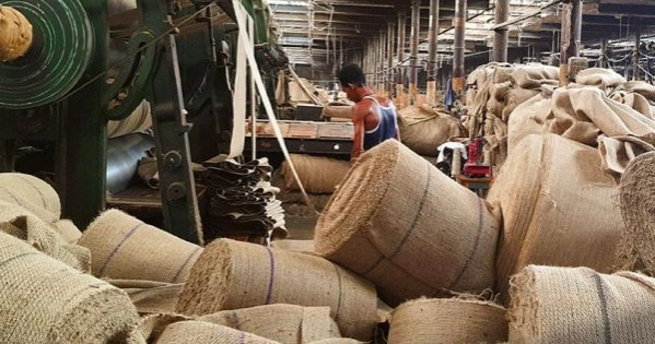 Govt orders probe into irregularities in Tk 518cr Jute mill project