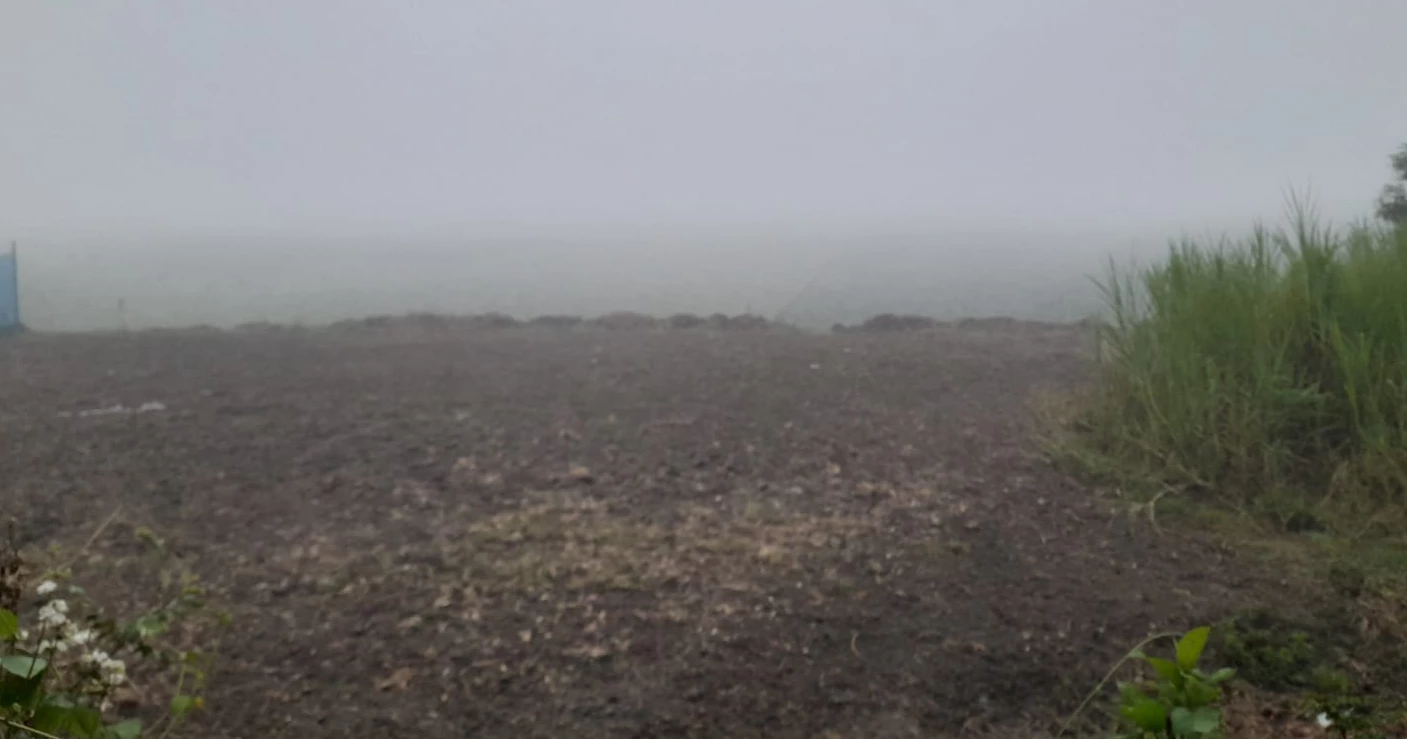 A touch of winter in Chaitra: Dense fog blankets Faridpur, Onion farmers worried