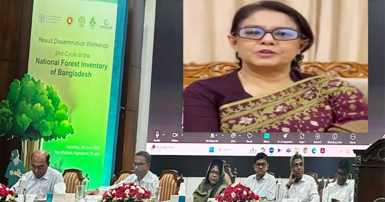 Forests not just for carbon trading, but for life: Adviser Rizwana