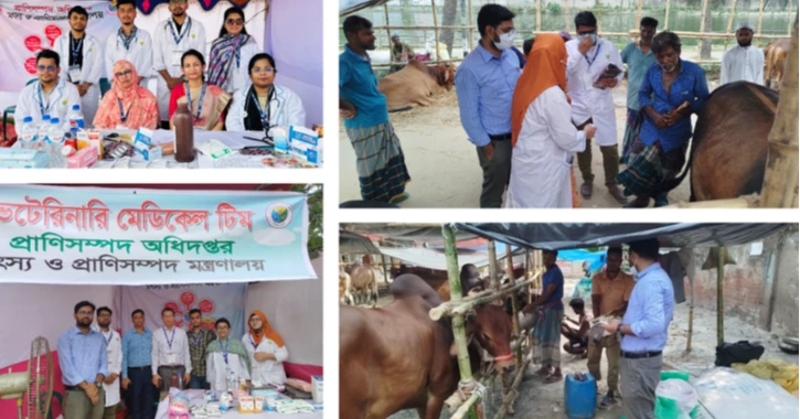 87 veterinary interns join free treatment drive at Dhaka cattle markets
