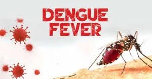 Dengue outbreak: 4 dead, 845 hospitalised in 24 hours