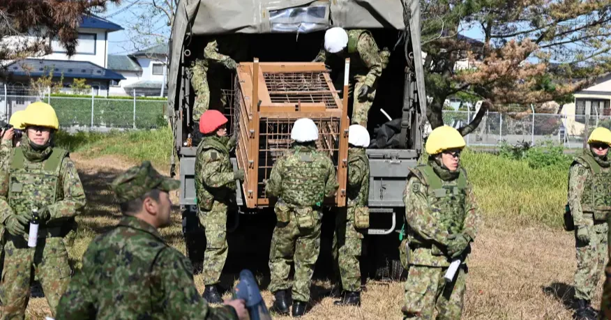 Japan deploys troops to Akita to curb rising bear attacks