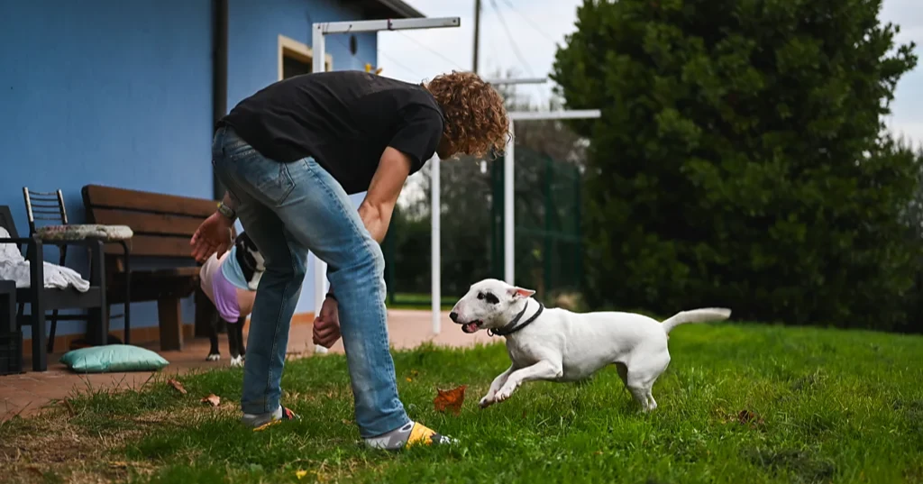 Short bursts of daily activity can significantly boost health